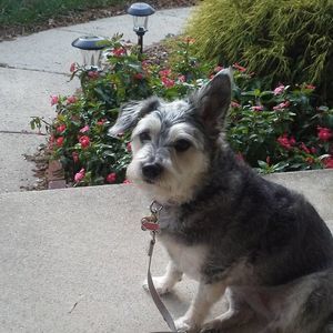 Meet your Posher, Maryann